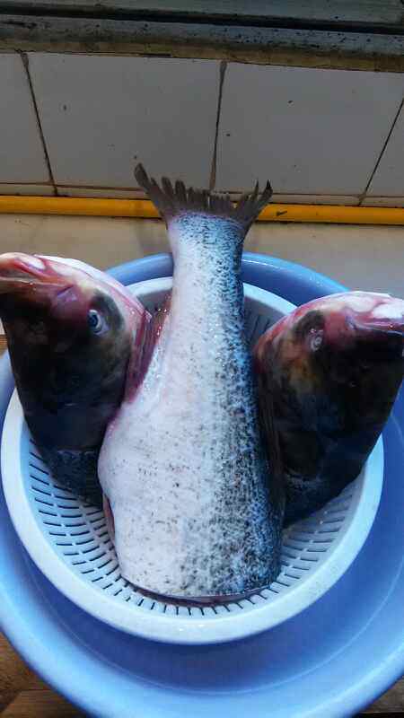 鲢鱼头炖豆腐步骤2