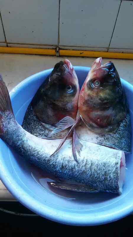鲢鱼头炖豆腐步骤1