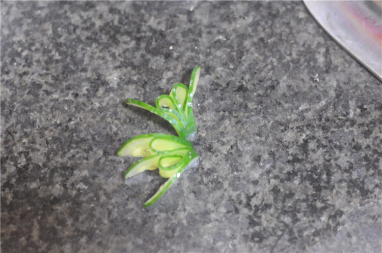 黄瓜薄荷冰爽面步骤14