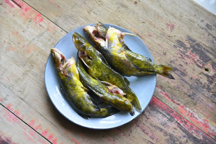 泡菜黄腊丁步骤1