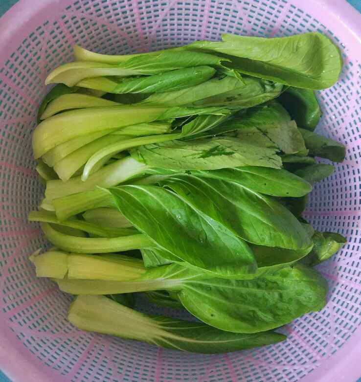 青菜鸡蛋炒粉条步骤1