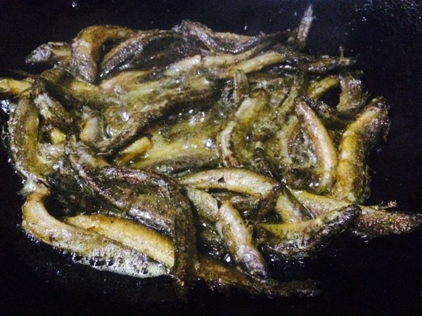 干煸鳅鱼步骤4