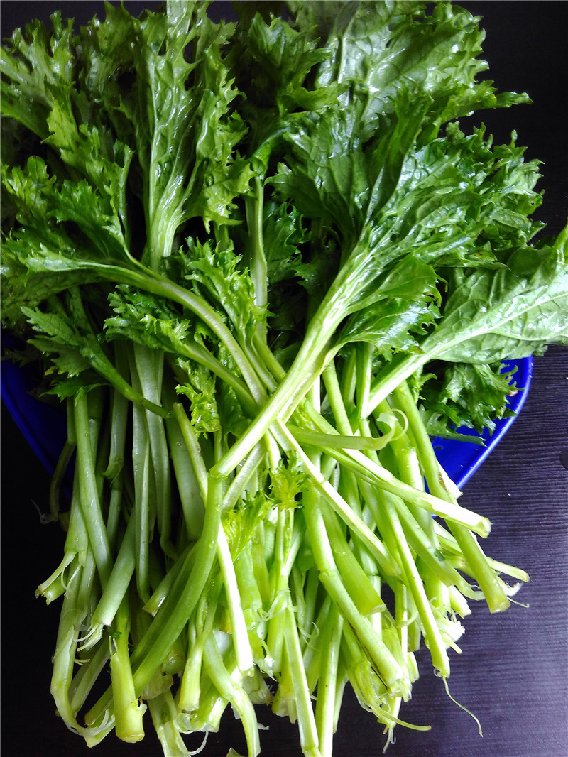 素炒鸡冠菜步骤1