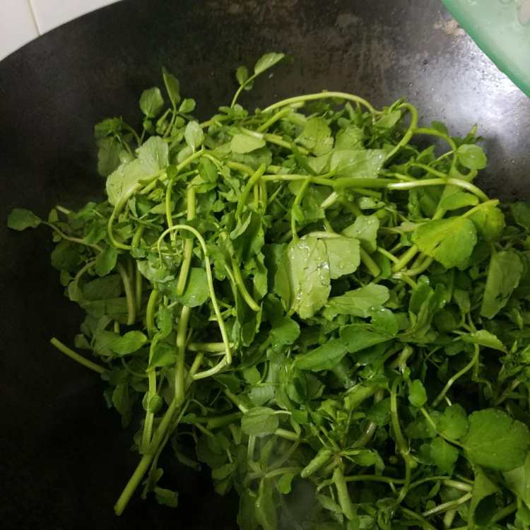 蒜蓉爆炒西洋菜步骤3