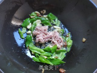 肉丝胡萝卜步骤8