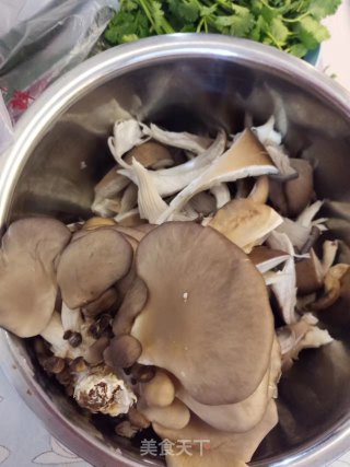 蘑菇步骤1