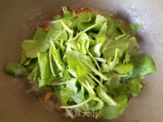 炸豆腐烩油菜苗步骤8
