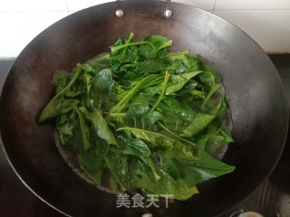 蒜蓉菠菜步骤3