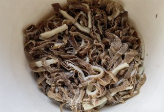 豆芽平菇煮毛肚步骤4