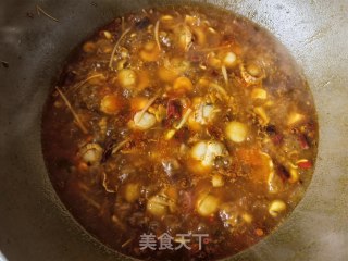 水煮扇贝肉步骤16