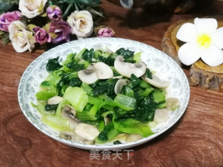 蘑菇炒青菜步骤6