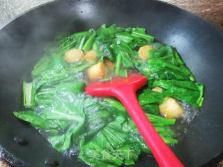 干贝烧油菜蕻煮粉丝步骤4