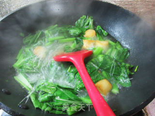 干贝烧油菜蕻煮粉丝步骤5