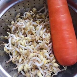 香菜拌绿豆芽步骤1