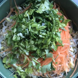 香菜拌绿豆芽步骤5