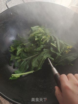 素炒菜心步骤2