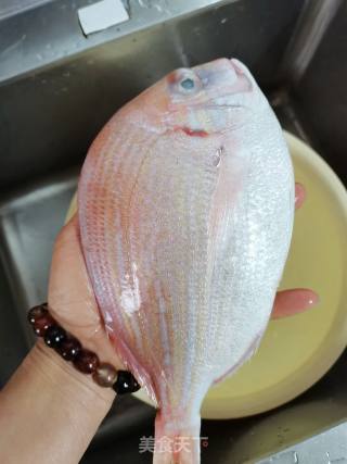 葱油红鲷鱼步骤1