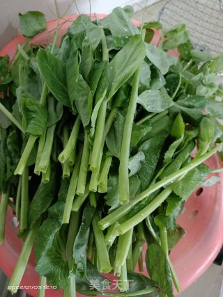 素炒豆苗步骤1
