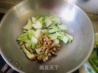 油滋啦炒白菜步骤4