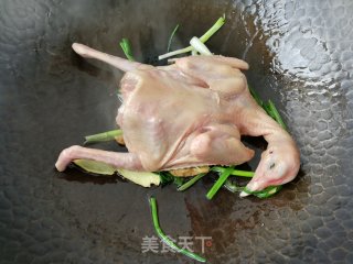红烧鸽子步骤3