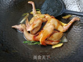 红烧鸽子步骤4