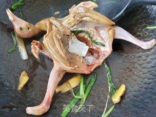 红烧鸽子步骤5