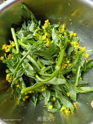 炒油菜步骤1