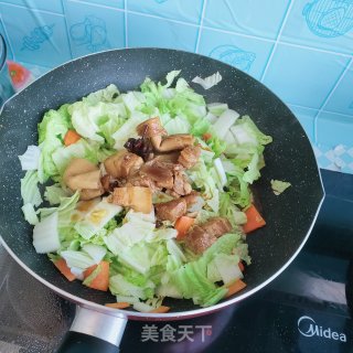 卤肉白菜炖粉条步骤3 卤肉白菜炖粉条步骤3