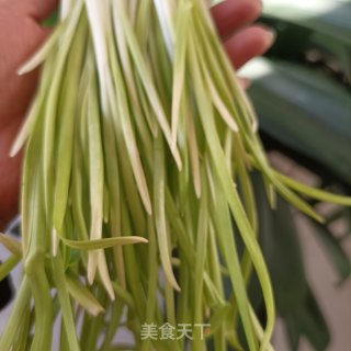 蒜黄炒茼蒿杆步骤2
