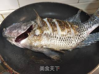 红烧鲷鱼步骤2 红烧鲷鱼步骤2