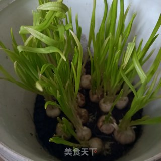辣酱腊肠炒蒜黄步骤1 辣酱腊肠炒蒜黄步骤1