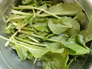 蒜蓉辣椒炒油菜苗步骤1