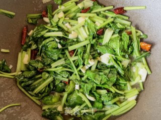 蒜蓉辣椒炒油菜苗步骤8