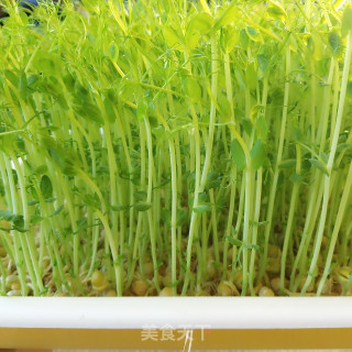 腊肉炒豆苗步骤1