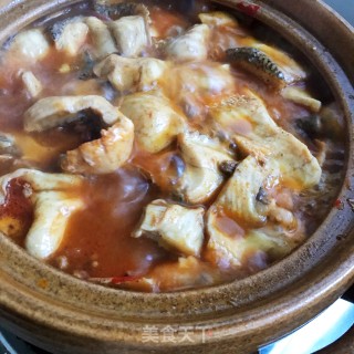 香辣黑鱼豆腐煲步骤12