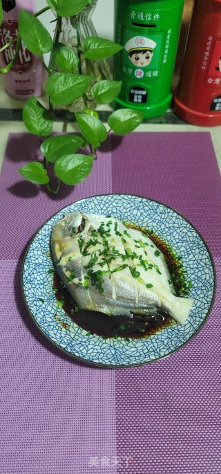 葱香白鲳步骤9