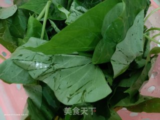 清炒番薯叶步骤1