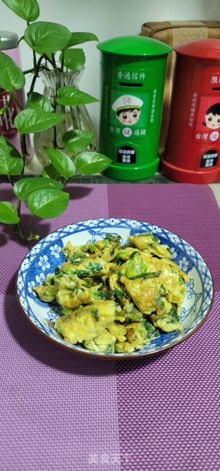 九层塔大葱炒鸡蛋步骤9
