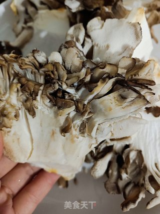 素炒灰树花步骤2