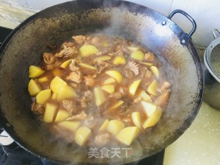 鸡肉炖土豆粉条步骤7