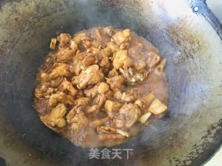 鸡肉炖土豆粉条步骤6