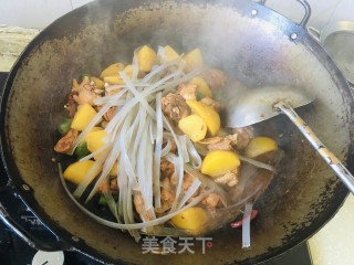 鸡肉炖土豆粉条步骤8