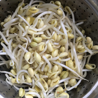 豆腐豆芽炒粉条步骤1