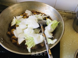 红烧肉白菜炖粉条步骤8