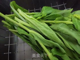 小炒白菜苔步骤1