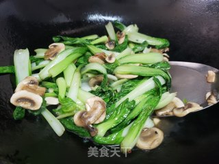 青菜草菇步骤6 青菜草菇步骤6