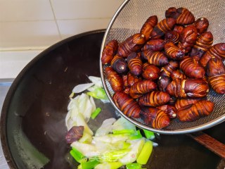 葱烧茧蛹步骤8