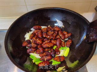 葱烧茧蛹步骤9