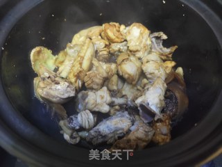 花甲鸡煲步骤4