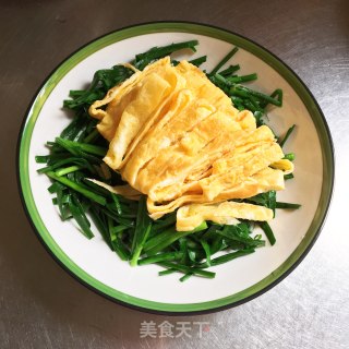 蛋皮拌韭菜步骤8